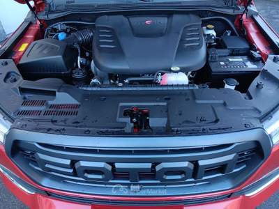Foton Tunland G7 NUOVO Rosso usata Torino
