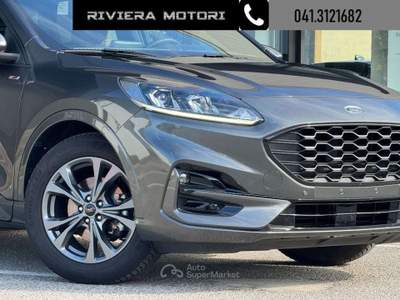 Ford Kuga 2.0 EcoBlue 120 CV aut. ST-Line 2WD Grigio usata Dolo