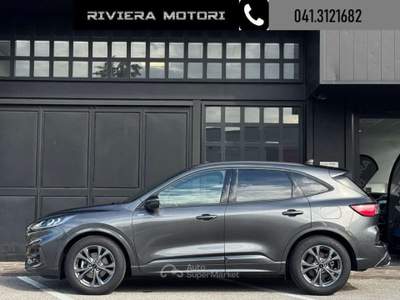 Ford Kuga 2.0 EcoBlue 120 CV aut. ST-Line 2WD Grigio usata Dolo