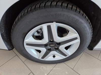 Ford Focus 1.5 EcoBlue 120 CV SW Business Argento usata Somma Vesuviana