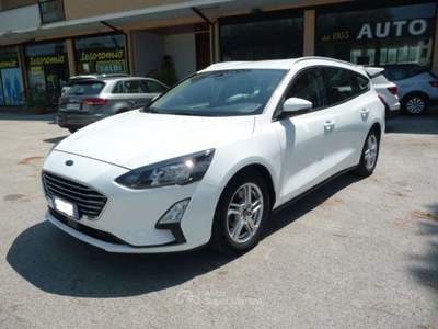 Ford Focus 1.5 EcoBlue 120 CV automatico SW Business Co-Pilot Bianco usata Tolentino