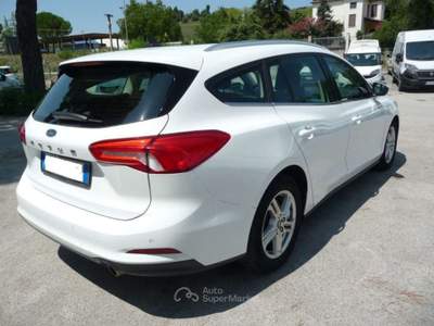 Ford Focus 1.5 EcoBlue 120 CV automatico SW Business Co-Pilot Bianco usata Tolentino