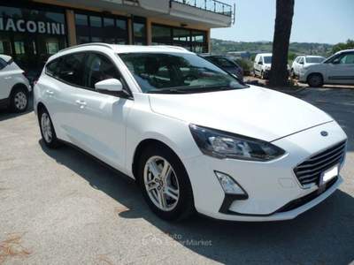 Ford Focus 1.5 EcoBlue 120 CV automatico SW Business Co-Pilot Bianco usata Tolentino