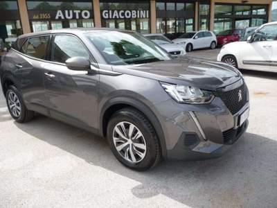 Peugeot 2008 BlueHDi 110 S&S Active Grigio usata Tolentino