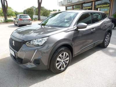 Peugeot 2008 BlueHDi 110 S&S Active Grigio usata Tolentino
