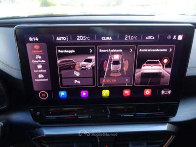 Cupra Formentor 2.0 TDI 4Drive DSG Grigio usata Tolentino