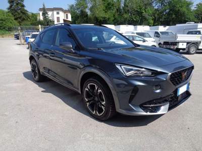 Cupra Formentor 2.0 TDI 4Drive DSG Grigio usata Tolentino