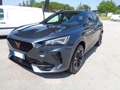 Cupra Formentor 2.0 TDI 4Drive DSG Grigio usata Tolentino