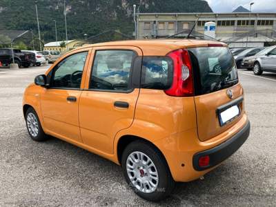 Fiat Panda Panda 1.0 70CV FireFly S&S Hybrid Arancione usata Scurelle
