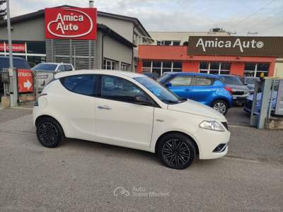 Lancia Ypsilon Ypsilon 1.3 MJT 95 CV 5p. S&S Gold Bianco usata Lavis
