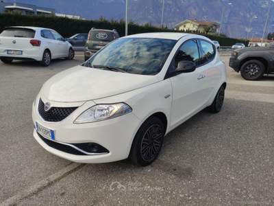 Lancia Ypsilon Ypsilon 1.3 MJT 95 CV 5p. S&S Gold Bianco usata Lavis