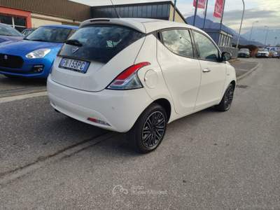 Lancia Ypsilon Ypsilon 1.3 MJT 95 CV 5p. S&S Gold Bianco usata Lavis