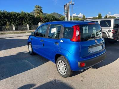 Fiat Panda 1.0 FireFly S&S Hybrid Blu/Azzurro usata Alife