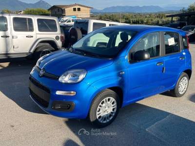 Fiat Panda 1.0 FireFly S&S Hybrid Blu/Azzurro usata Alife