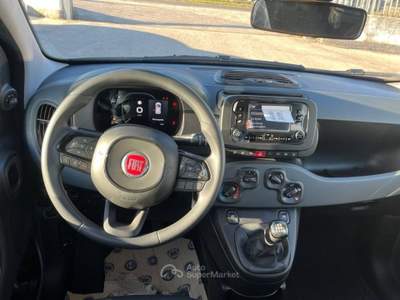Fiat Panda 1.0 FireFly S&S Hybrid Blu/Azzurro usata Alife