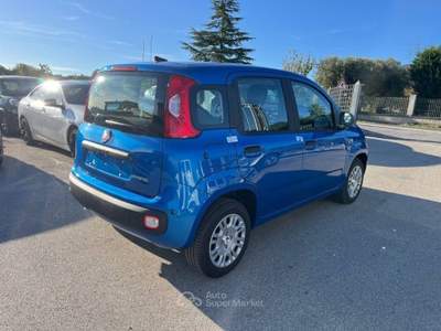 Fiat Panda 1.0 FireFly S&S Hybrid Blu/Azzurro usata Alife