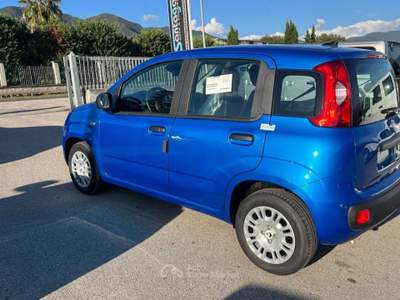 Fiat Panda 1.0 FireFly S&S Hybrid Blu/Azzurro usata Alife