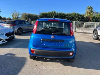Fiat Panda 1.0 FireFly S&S Hybrid Blu/Azzurro usata Alife