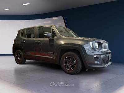 Jeep Renegade Renegade 1.6 Mjt 130 CV Longitude Grigio usata Pordenone