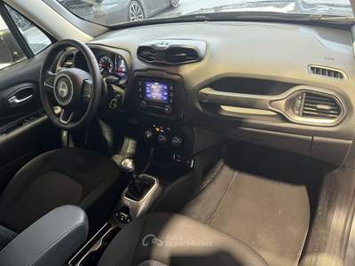 Jeep Renegade Renegade 1.6 Mjt 130 CV Longitude Grigio usata Pordenone