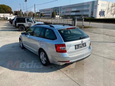 Skoda Octavia sw Argento usata Prata di Pordenone
