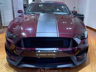 Ford Mustang Fastback 2.3 EcoBoost aut. KIT SHELBY Lilla usata Afragola