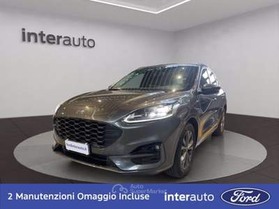 Ford Kuga 1.5 EcoBlue 120 CV aut. 2WD ST-Line X Grigio usata Liscate