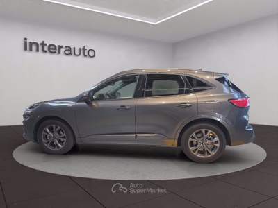 Ford Kuga 1.5 EcoBlue 120 CV aut. 2WD ST-Line X Grigio usata Liscate