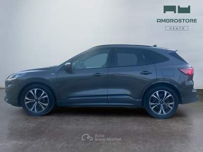 Ford Kuga  - kuga 2.0 ecoblue mhev st-line 2wd 150cv Grigio usata Segrate