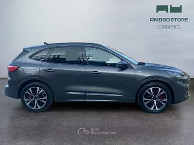 Ford Kuga  - kuga 2.0 ecoblue mhev st-line 2wd 150cv Grigio usata Segrate