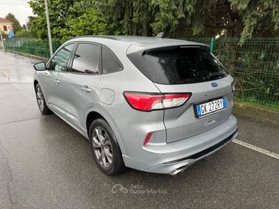 Ford Kuga ford kuga stline  Nero usata Gattinara