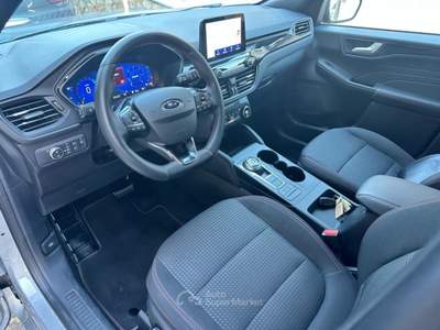 Ford Kuga ford kuga stline  Nero usata Gattinara