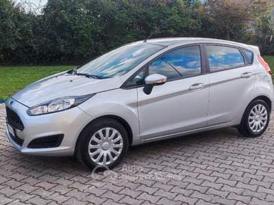 Ford Fiesta 1.2 82 CV 5 porte Titanium Argento usata Fonte