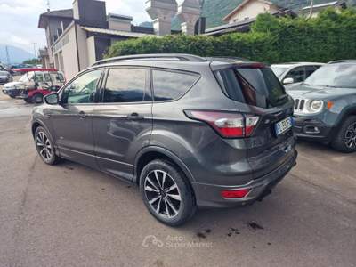 Ford Kuga 2.0 TDCI 150 CV S&S 4WD Powershift ST-Line Grigio usata Levico Terme
