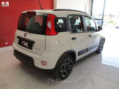 Fiat Panda 1.0 FireFly S&S Hybrid City Life Bianco usata Vittoria