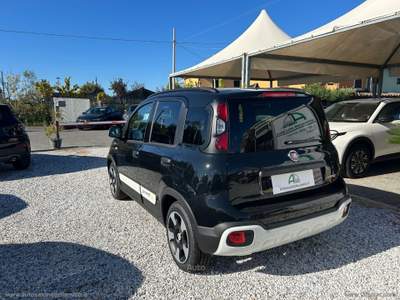 Fiat Panda Panda 1.0 FireFly S&S Hybrid Pandina Nero usata Massa