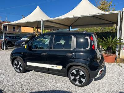 Fiat Panda Panda 1.0 FireFly S&S Hybrid Pandina Nero usata Massa