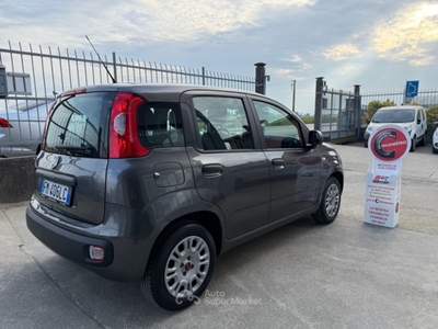 Fiat Panda Fiat Panda 1.2 BENZINA 69CV GPL CASA MADRE*TAGLIANDO*GARANZIA Grigio usata MALAGNINO