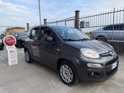 Fiat Panda Fiat Panda 1.2 BENZINA 69CV GPL CASA MADRE*TAGLIANDO*GARANZIA Grigio usata MALAGNINO