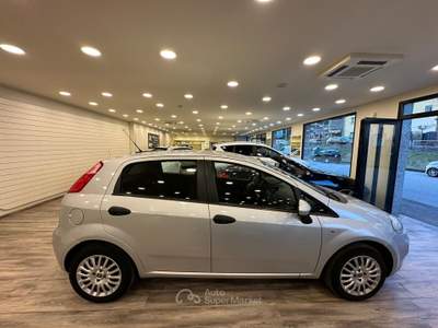 Fiat Punto 75 CV Street Argento usata Pieve a Nievole