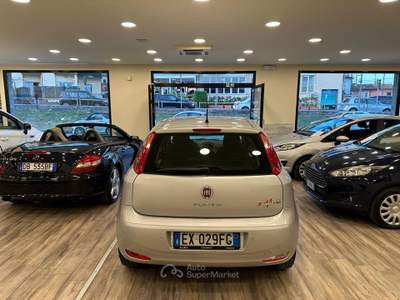 Fiat Punto 75 CV Street Argento usata Pieve a Nievole