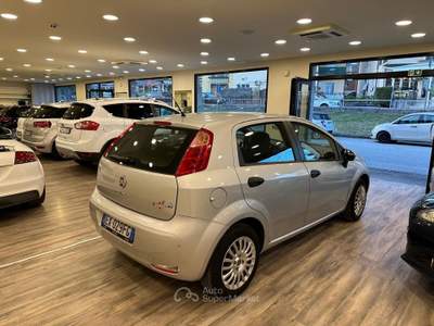 Fiat Punto 75 CV Street Argento usata Pieve a Nievole