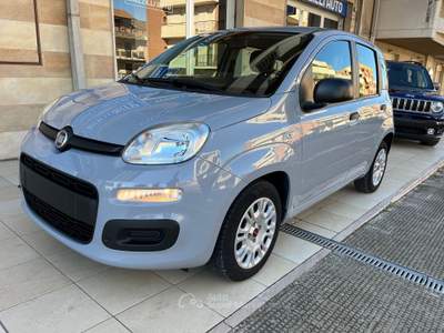 Fiat Panda FireFly Hybrid City Life Grigio usata Gravina in Puglia