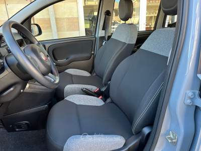 Fiat Panda FireFly Hybrid City Life Grigio usata Gravina in Puglia