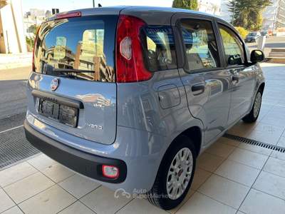 Fiat Panda FireFly Hybrid City Life Grigio usata Gravina in Puglia