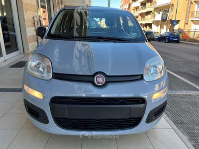 Fiat Panda FireFly Hybrid City Life Grigio usata Gravina in Puglia