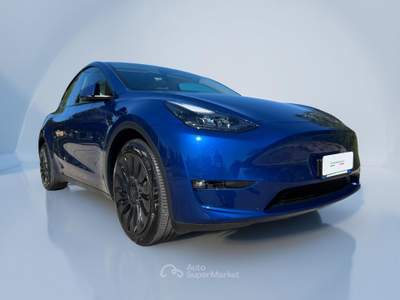 Tesla Model Y AWD Blu/Azzurro usata Venezia