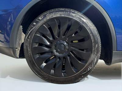 Tesla Model Y AWD Blu/Azzurro usata Venezia