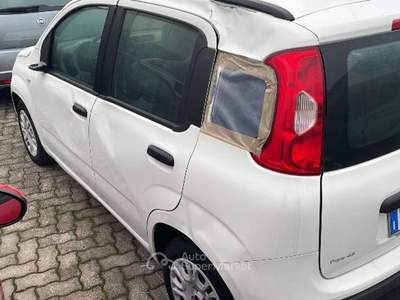 Fiat Panda Panda  Bianco usata Monte San Giusto