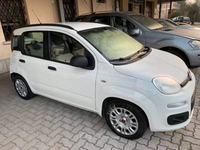 Fiat Panda Panda  Bianco usata Monte San Giusto